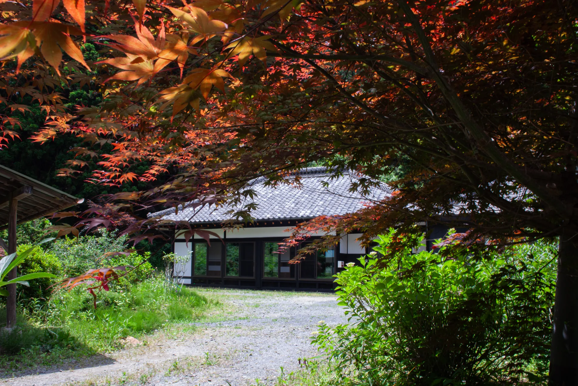 色づく木立の奥に佇む築103年の母屋
